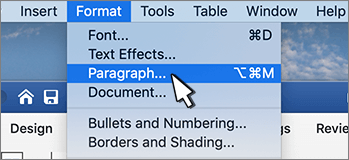 Selecting Paragraph from Format menu