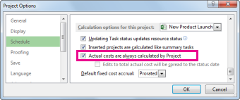Schedule tab in the Project Options dialog box