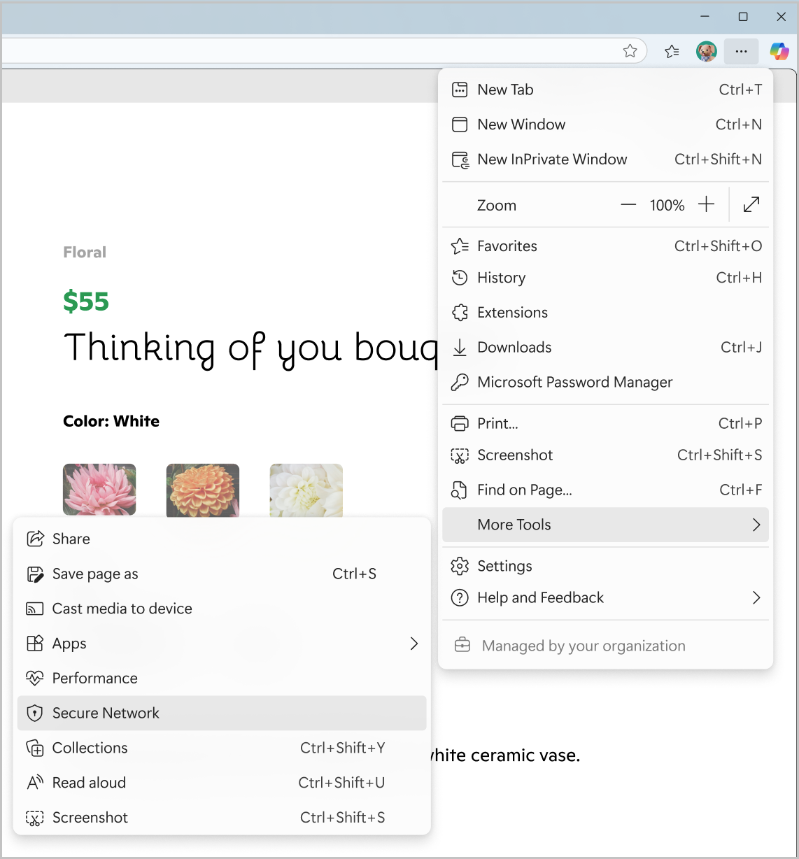 Screenshot of Secure Network from Settings and more menu