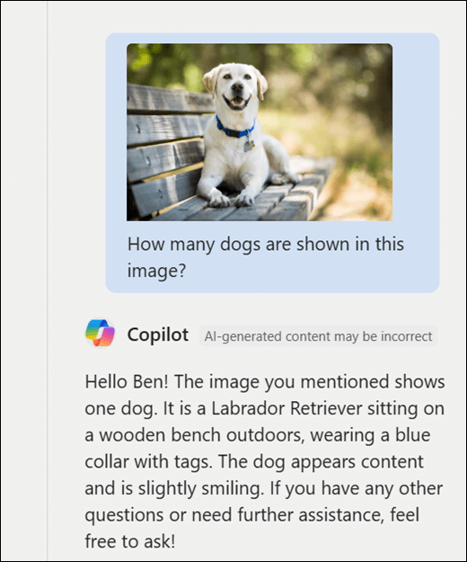 A screenshot of Copilot. An image of a dog has been pasted in along with the prompt "How many dogs are shown in this image?" Copilot has accurately responded and provided additional description of the image.