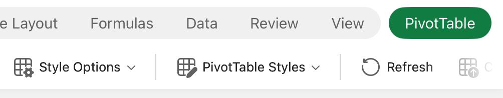 Style Options button on iPad