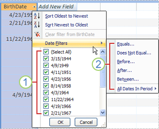Common date filters