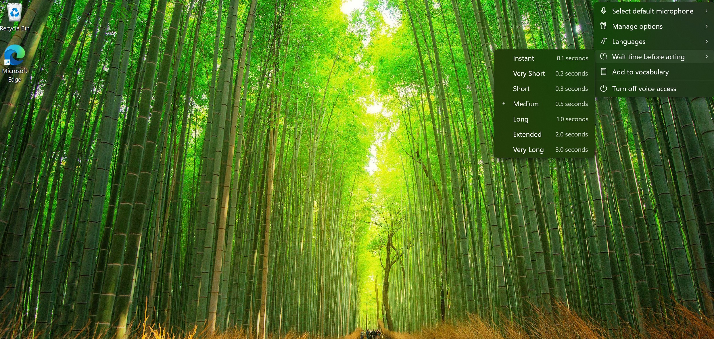 Voice access settings menu showing the Wait time before acting option with a list of delay durations.