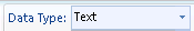 The Data Type list